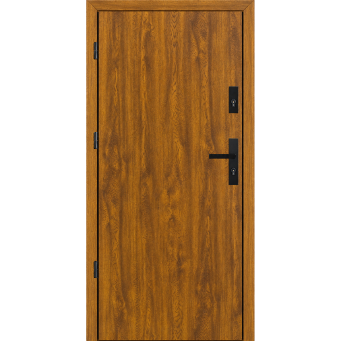 Ārdurvis mājai STA-G-55 PREMIUM