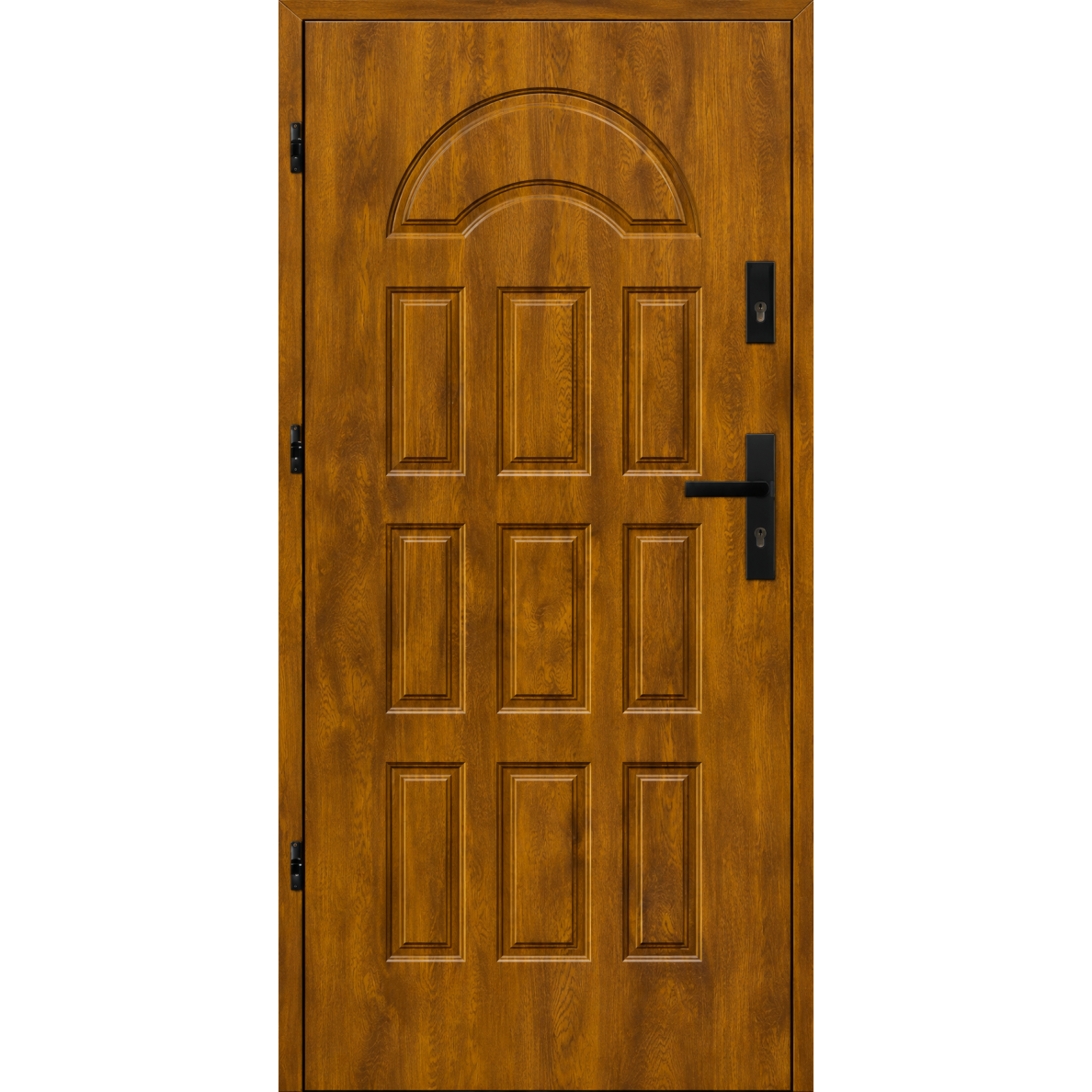 Ārdurvis mājai STA-T20-55 PREMIUM