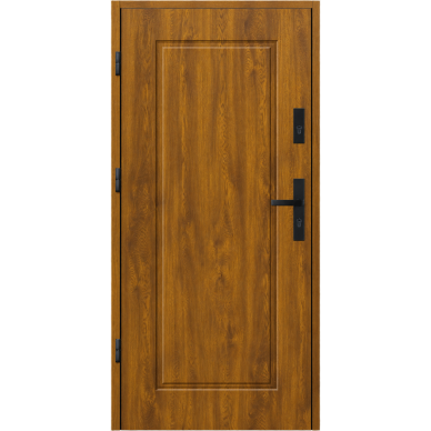Ārdurvis mājai STA-T21-55 PREMIUM