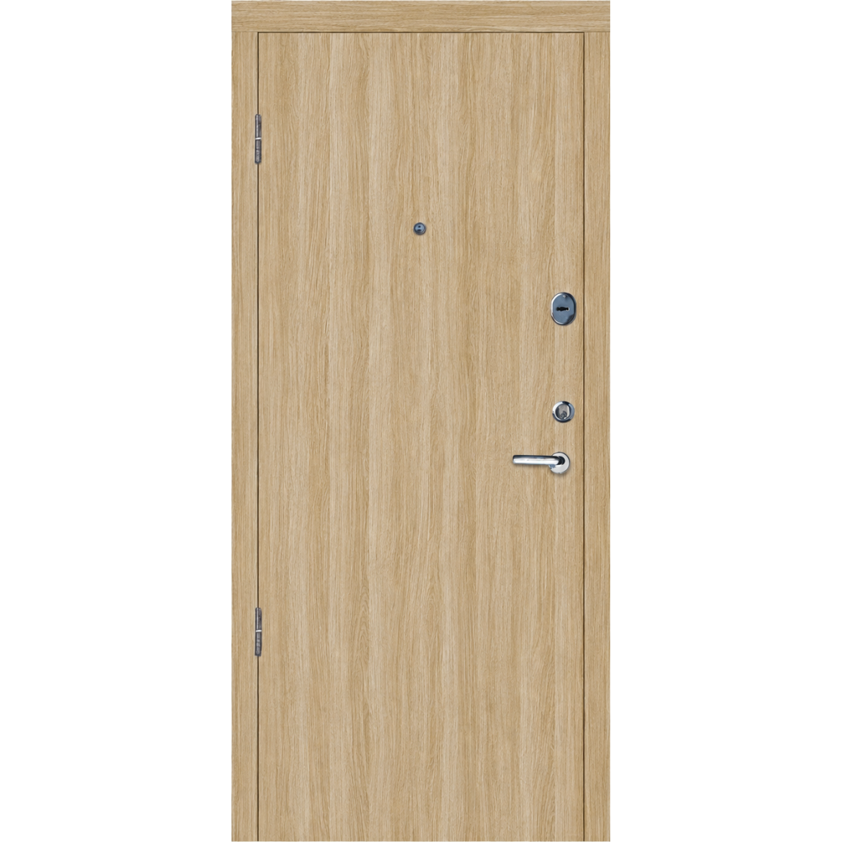 Šarvuotos durys butui TG-EKO-1